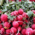 Back in Radish Business, Baby