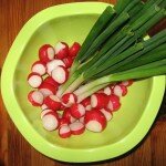 Master Radish seeks forgiveness...